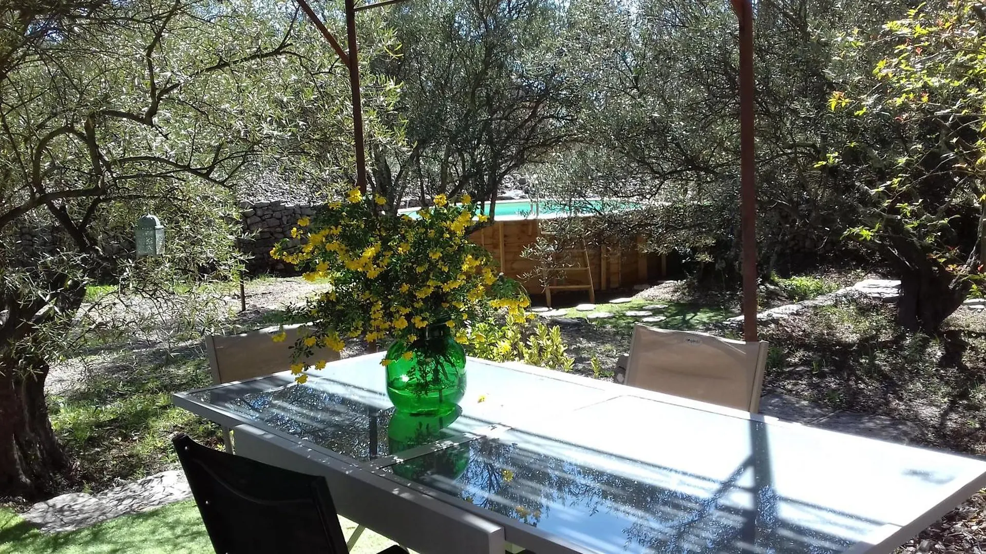 Les Chardons Bleus Bed & Breakfast Lorgues